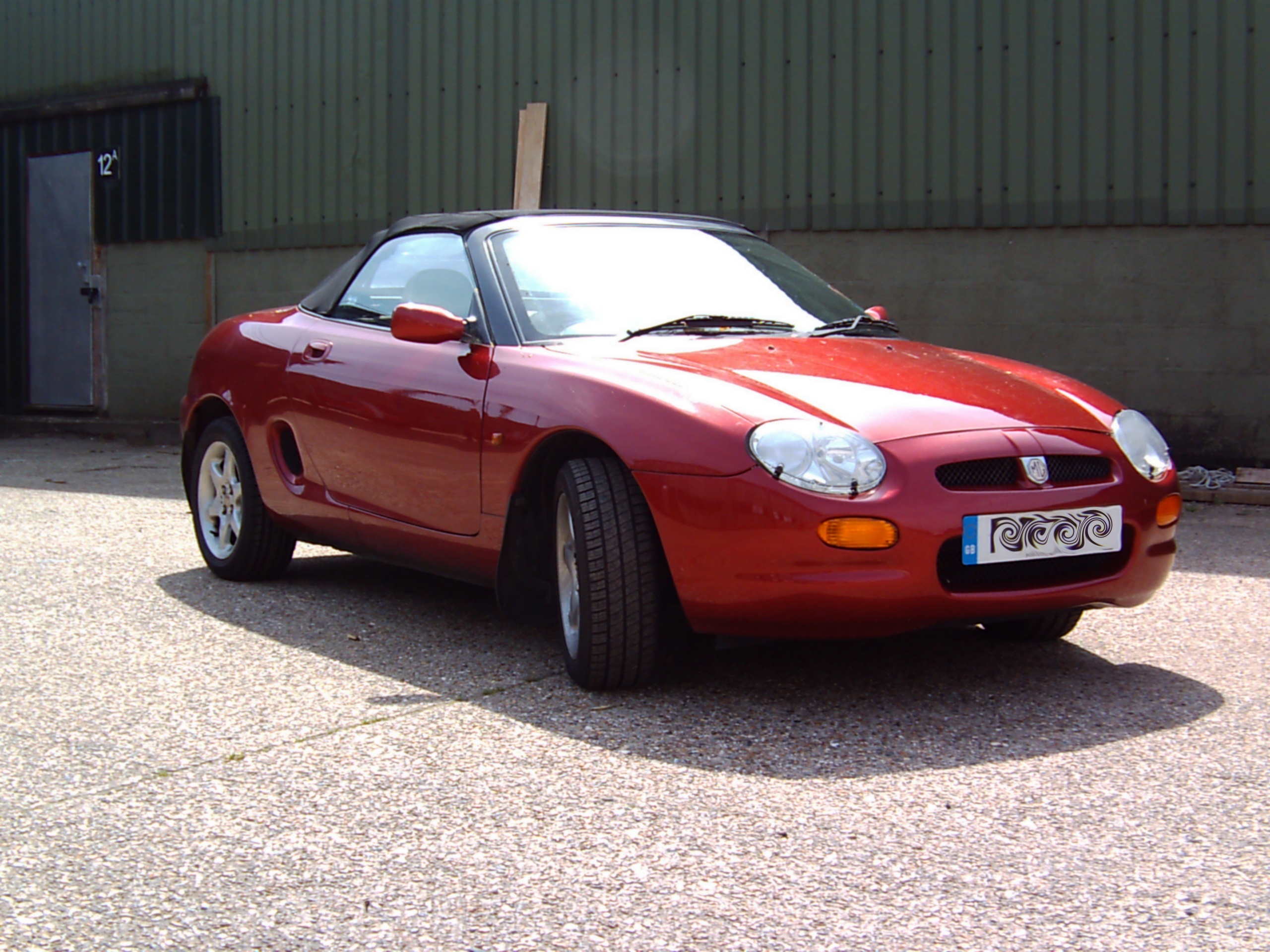 Let S Go For A Drive Mgf Balloonfish